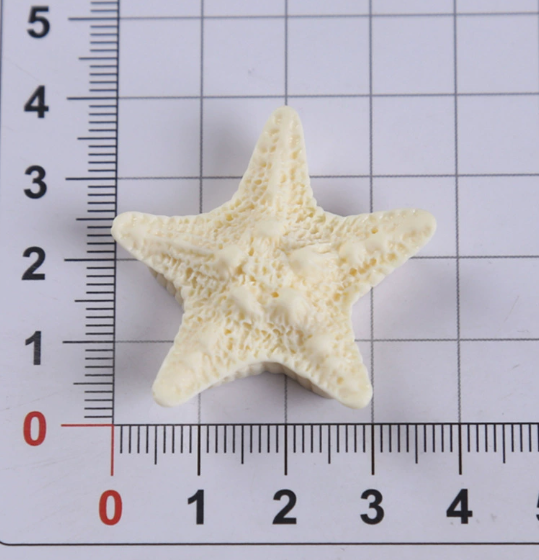 10 Pcs Starfish Resin Accessor - đánh giá và giá Phone Cases Junk